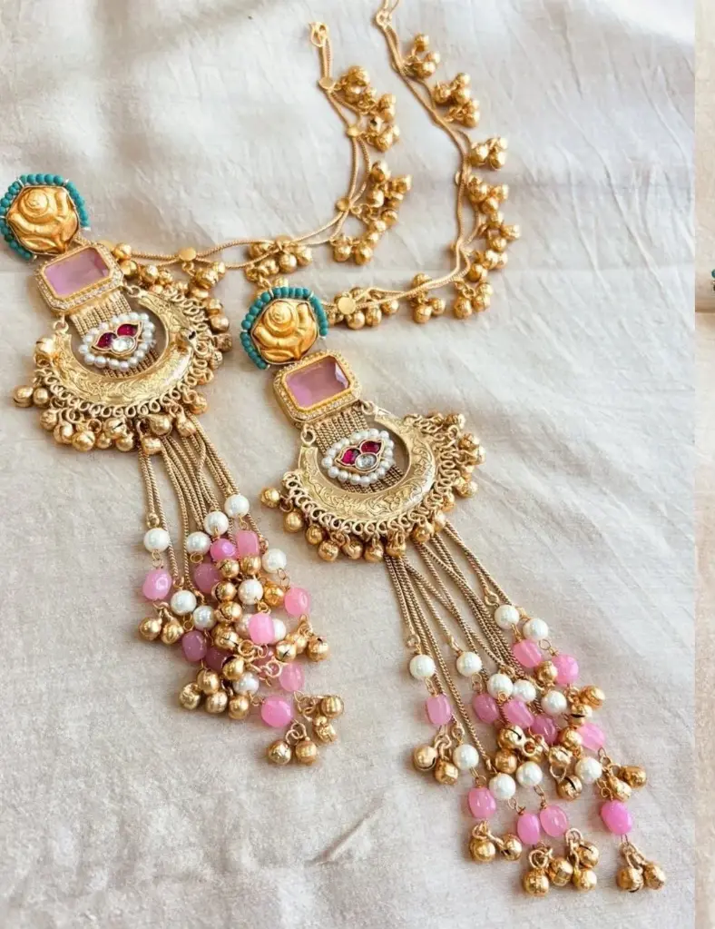 Multi Shaded Earrings